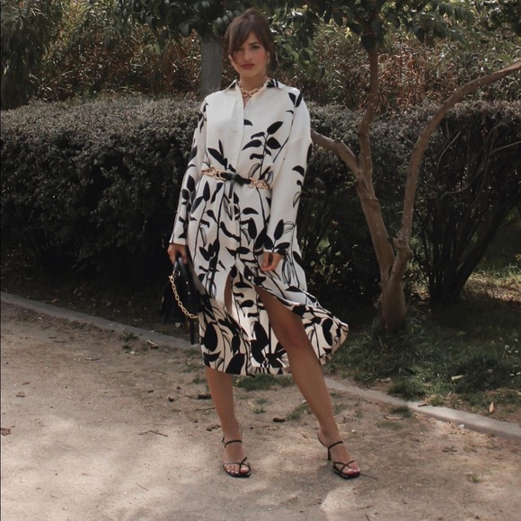 𝗡𝗪𝗧 𝗭𝗮𝗿𝗮 • Printed Oversized Dress - Picture 7 of 17